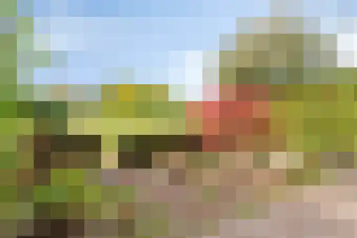 Tjalk 17 Capelle aan den IJssel thumbnail 27
