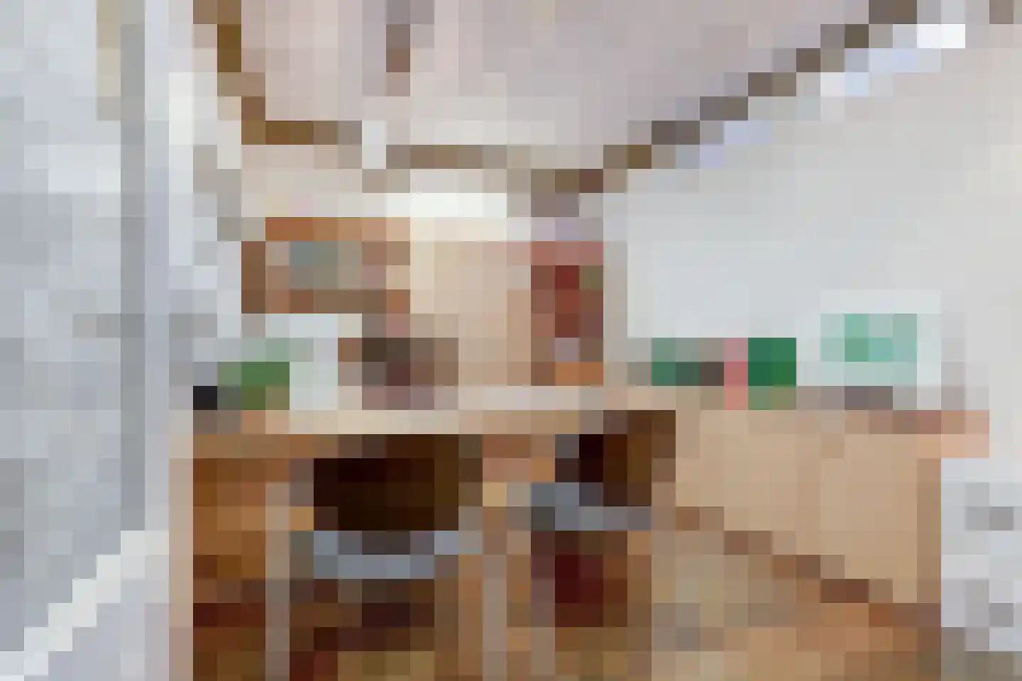 Tjalk 17 Huissen thumbnail 10