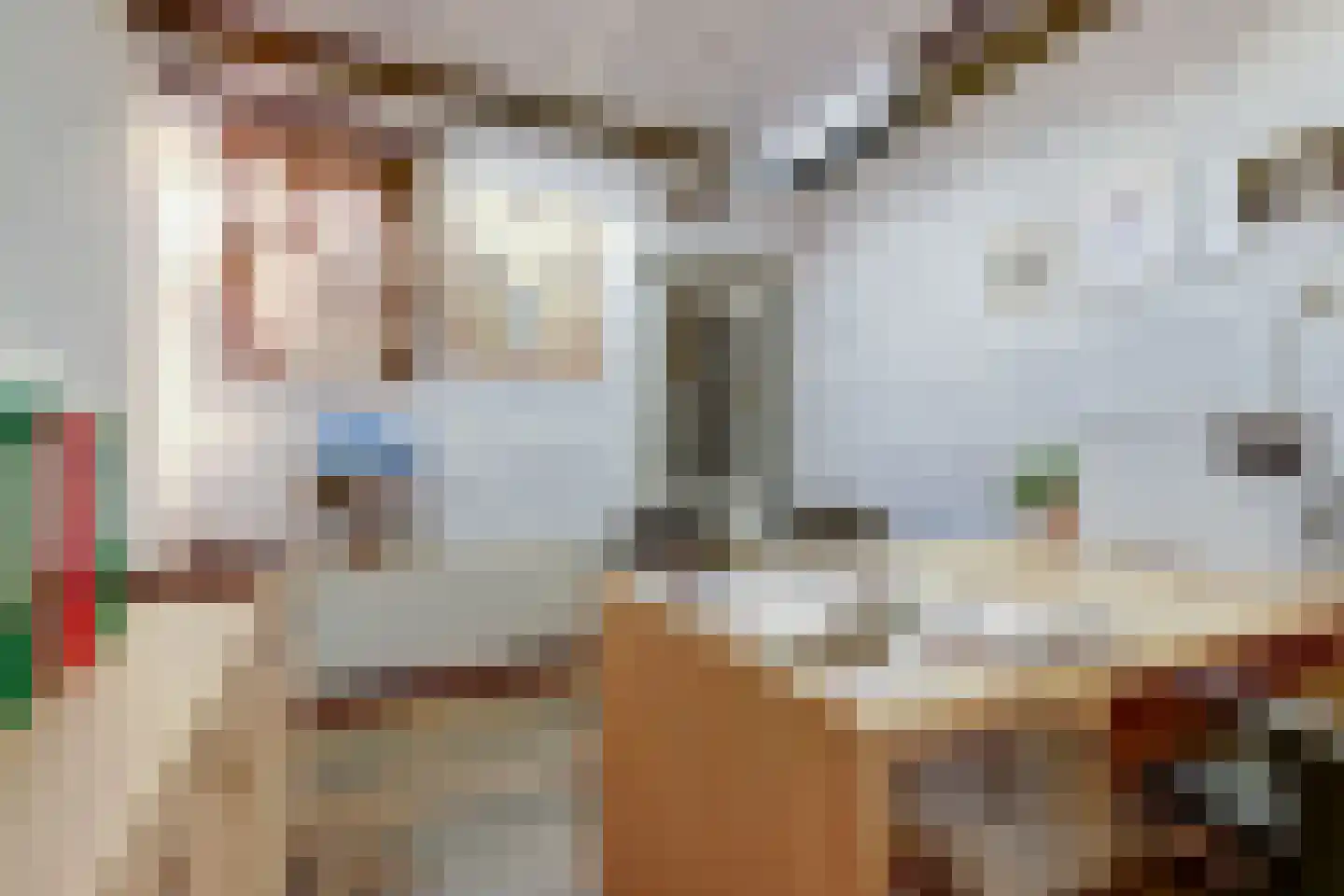 Tjalk 17 Huissen thumbnail 11