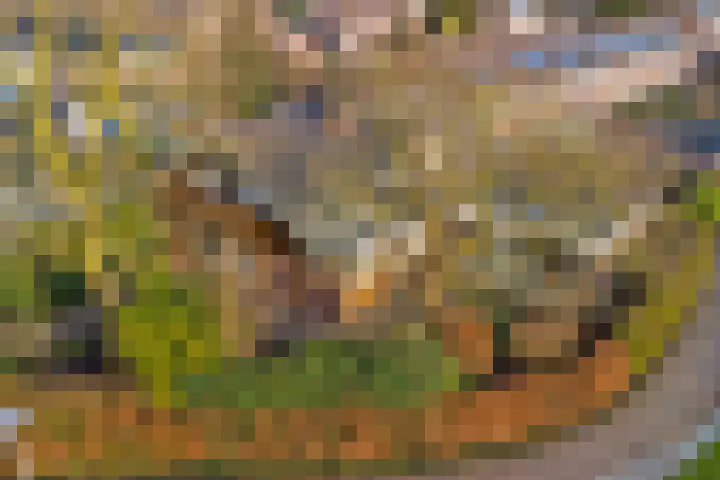 Tjalk 17 Huissen thumbnail 37