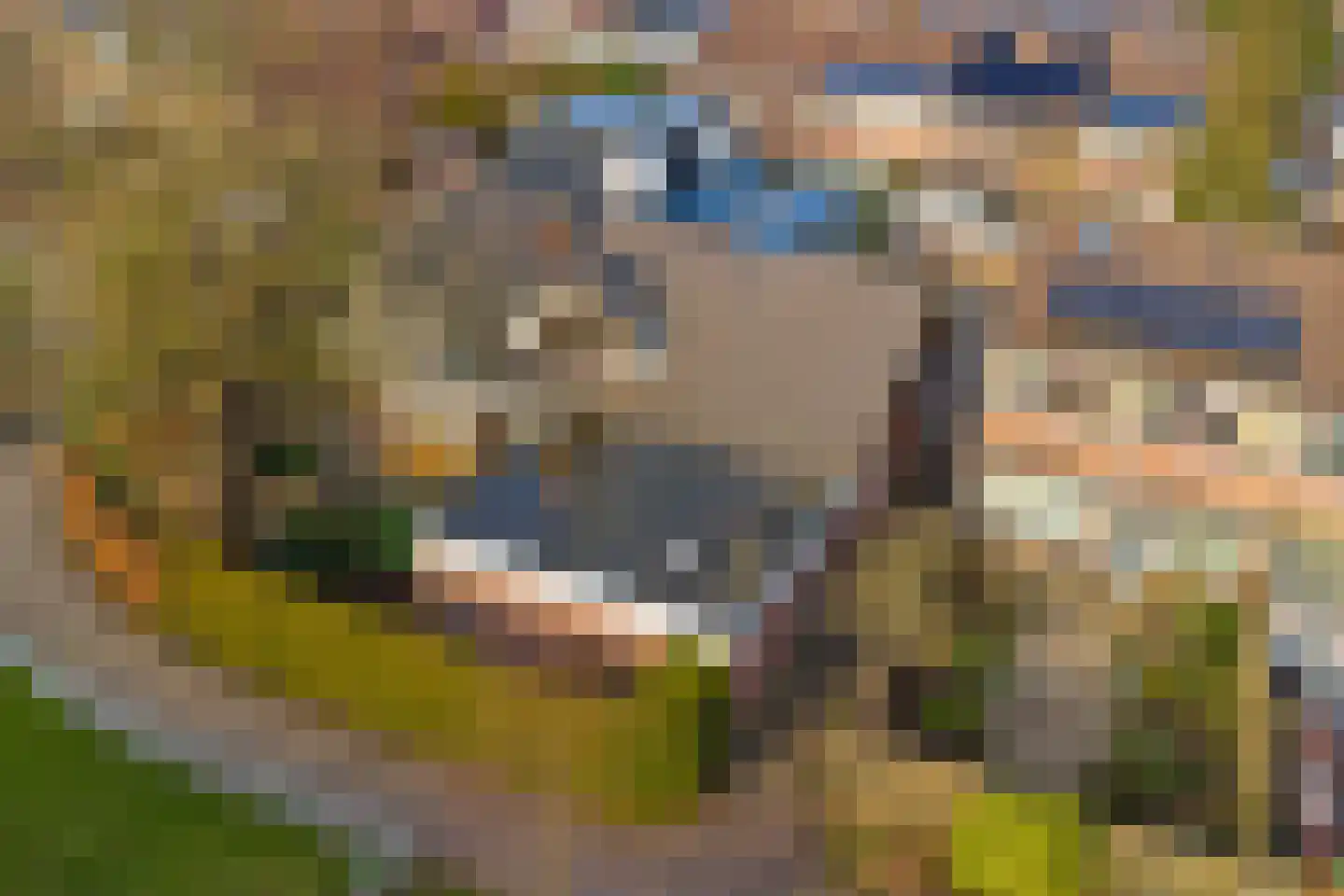 Tjalk 17 Huissen thumbnail 38