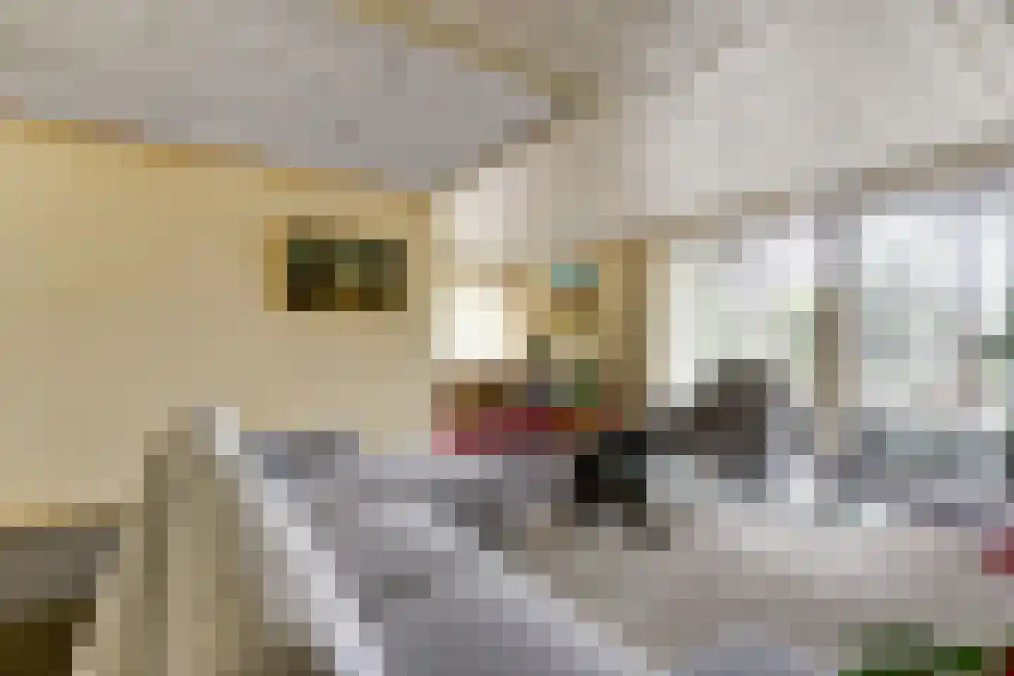 Tjalk 17 Huissen thumbnail 4