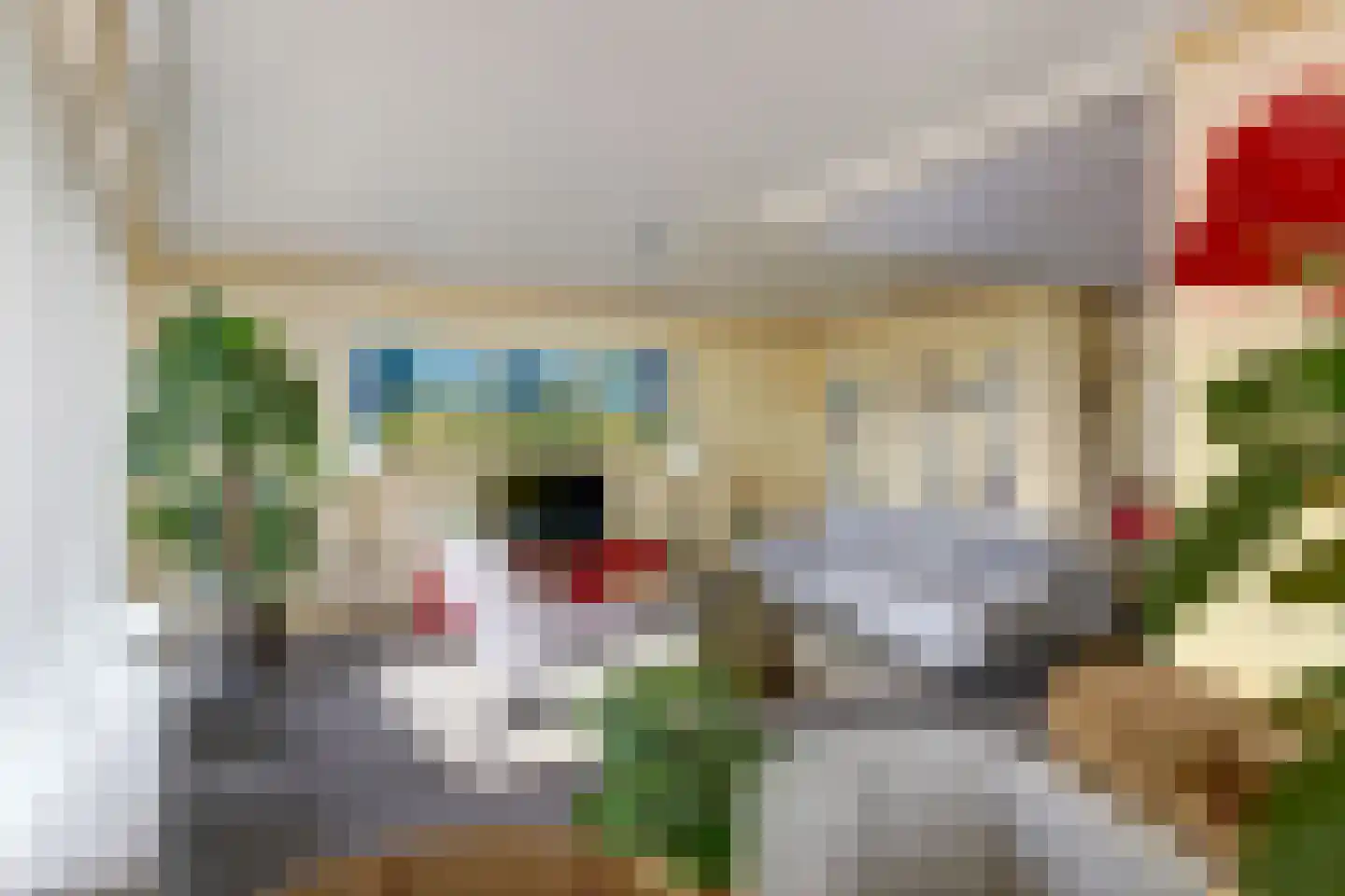 Tjalk 17 Huissen thumbnail 6