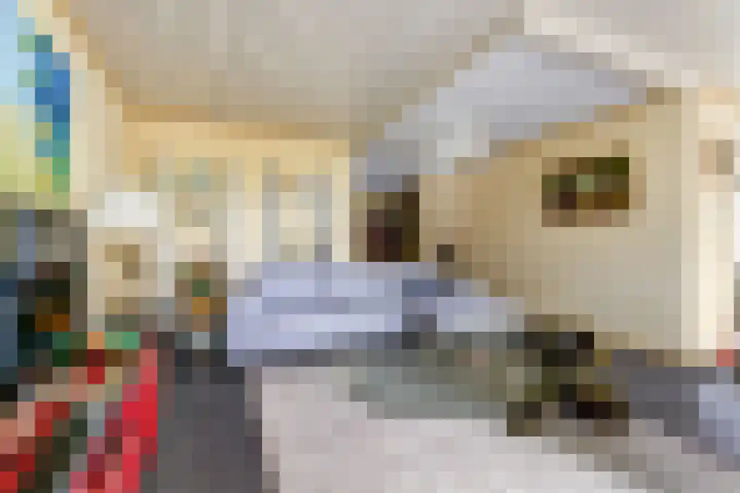 Tjalk 17 Huissen thumbnail 7