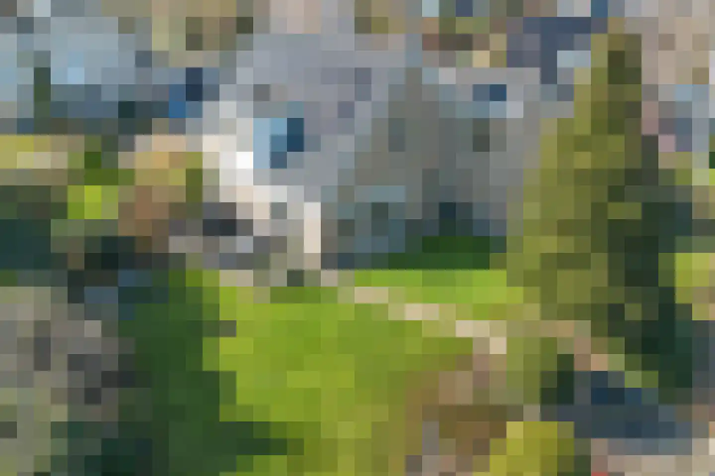 Tjalk 17 Kropswolde thumbnail 45