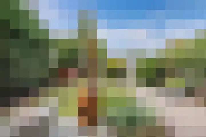 Tjalk 18 13 Lelystad thumbnail 16