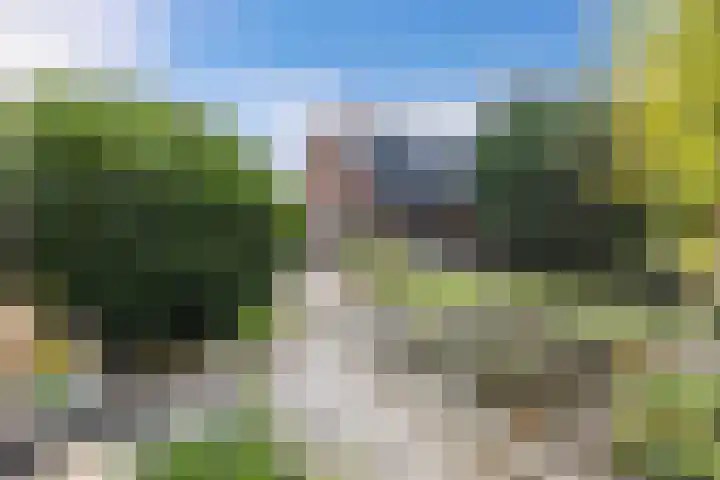 Tjalk 18 13 Lelystad thumbnail 18