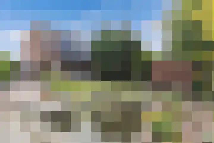 Tjalk 18 13 Lelystad thumbnail 19