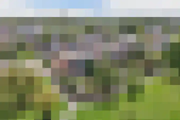 Tjalk 18 13 Lelystad thumbnail 38