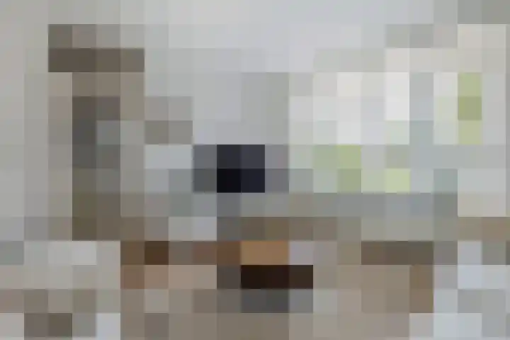Tjalk 18 13 Lelystad thumbnail 8
