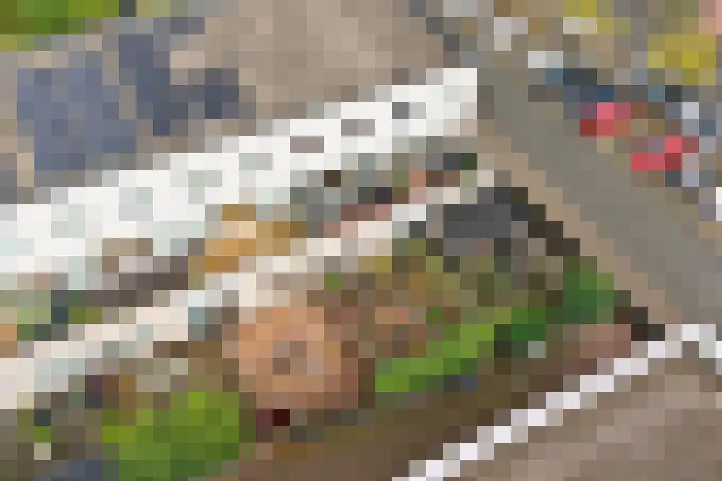 Tjalk 2 Honselersdijk thumbnail 46