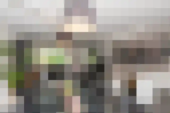 Tjalk 2 Papendrecht thumbnail 10