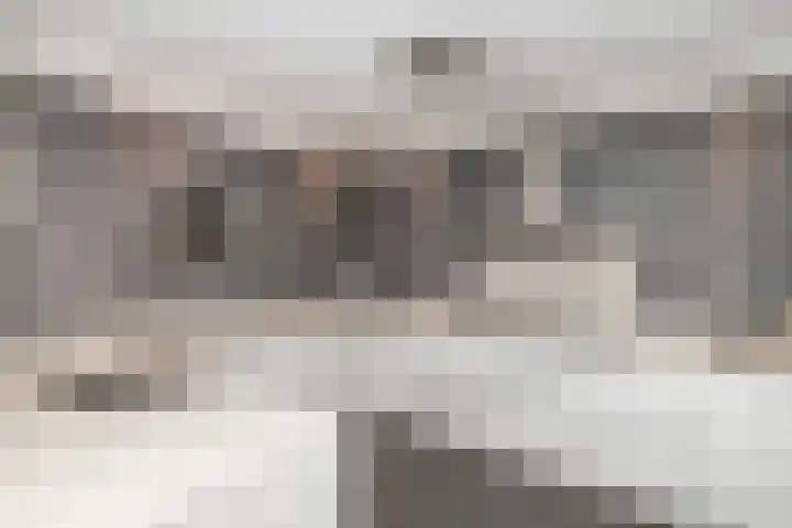 Tjalk 2 Papendrecht thumbnail 11