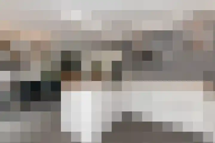Tjalk 2 Papendrecht thumbnail 12