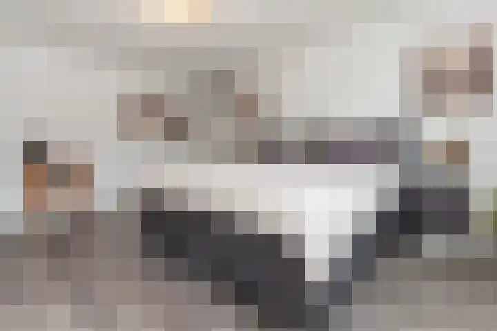 Tjalk 2 Papendrecht thumbnail 16