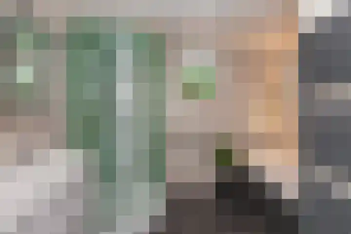 Tjalk 2 Papendrecht thumbnail 23