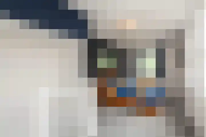 Tjalk 2 Papendrecht thumbnail 26