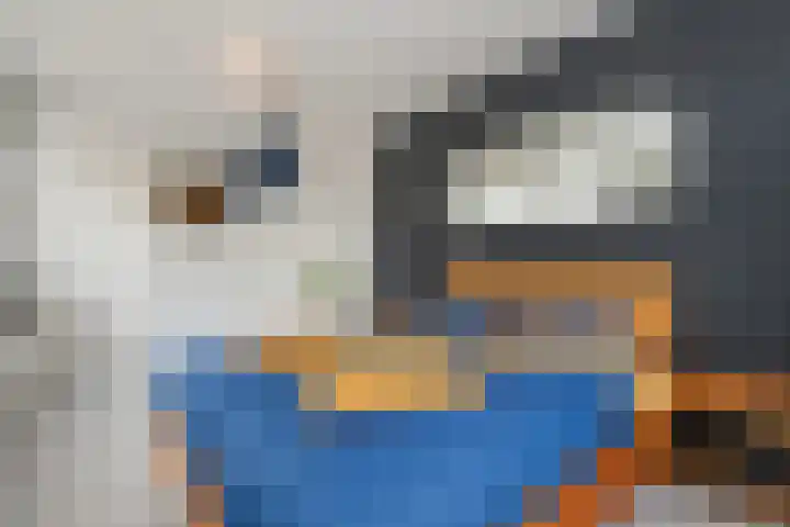 Tjalk 2 Papendrecht thumbnail 28