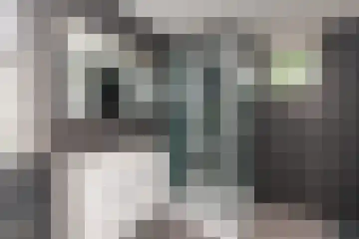 Tjalk 2 Papendrecht thumbnail 29