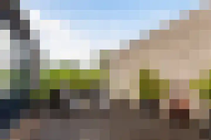 Tjalk 2 Papendrecht thumbnail 33