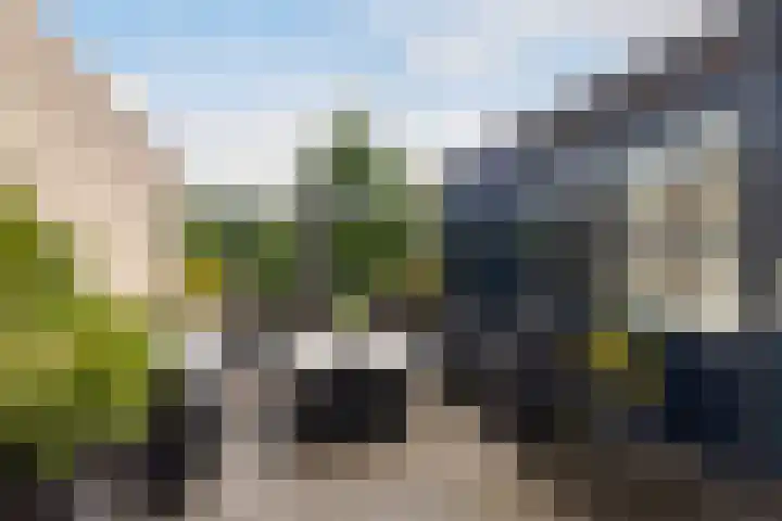 Tjalk 2 Papendrecht thumbnail 35