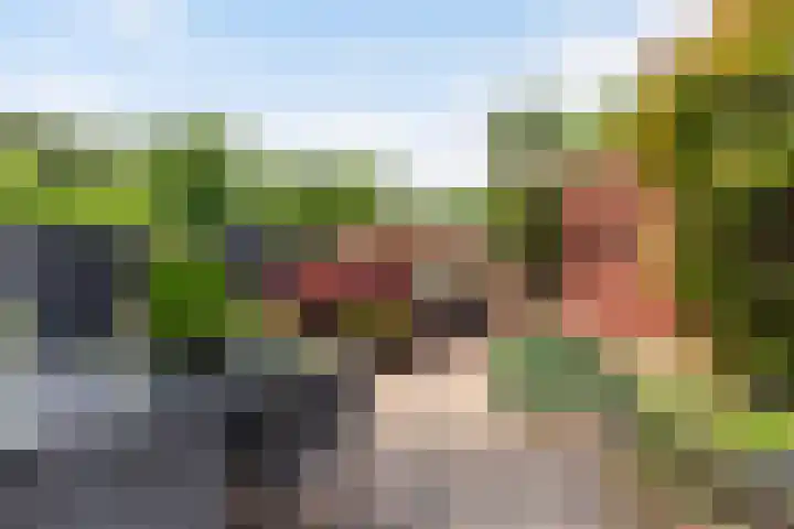 Tjalk 2 Papendrecht thumbnail 36