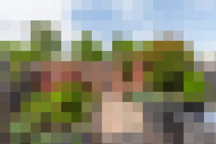 Tjalk 2 Papendrecht thumbnail 38