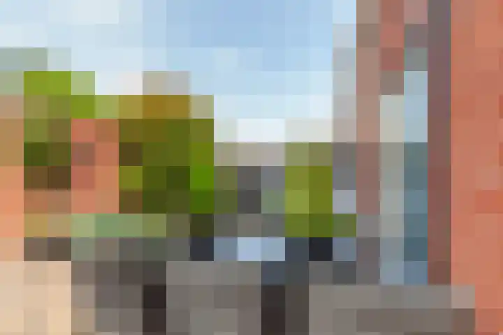 Tjalk 2 Papendrecht thumbnail 39