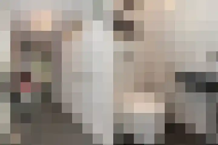 Tjalk 2 Papendrecht thumbnail 4