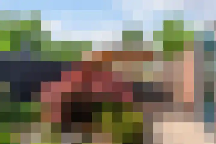 Tjalk 2 Papendrecht thumbnail 42