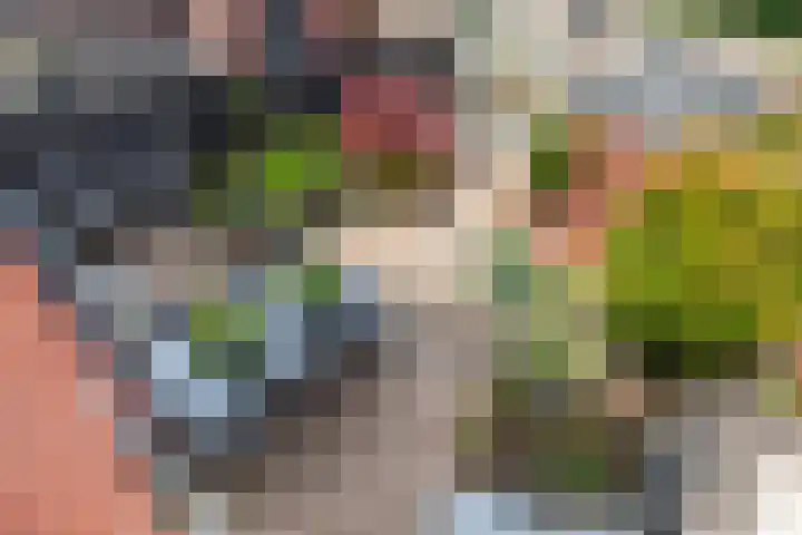 Tjalk 2 Papendrecht thumbnail 43