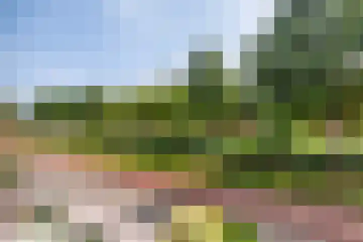 Tjalk 2 Papendrecht thumbnail 47