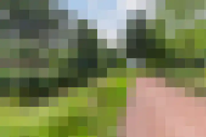 Tjalk 2 Papendrecht thumbnail 48
