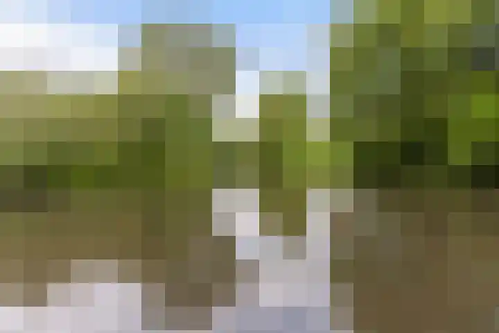 Tjalk 2 Papendrecht thumbnail 49