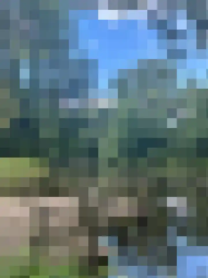 Tjalk 2 Papendrecht thumbnail 51