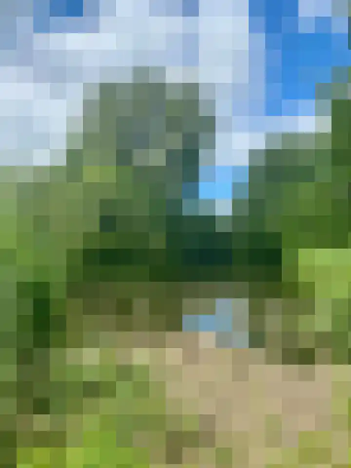 Tjalk 2 Papendrecht thumbnail 52