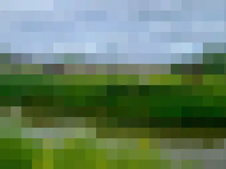 Tjalk 2 Papendrecht thumbnail 53