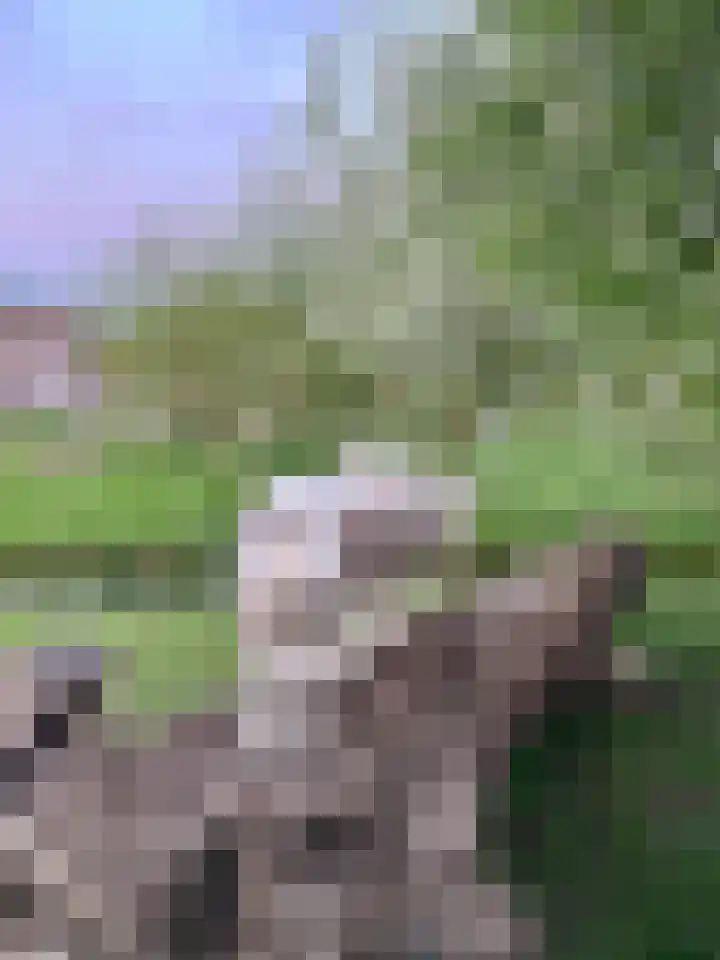 Tjalk 2 Papendrecht thumbnail 55