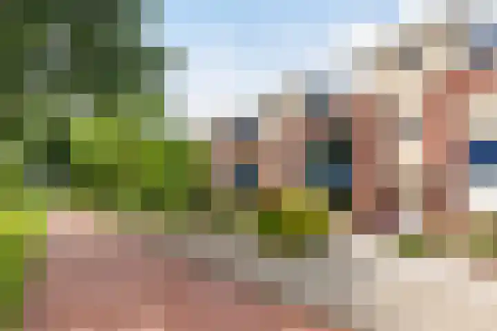 Tjalk 2 Papendrecht thumbnail 58