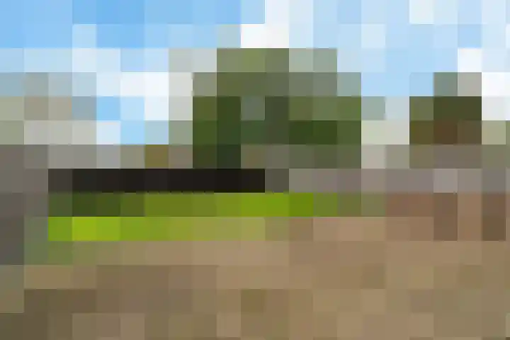 Tjalk 23 23 14 Lelystad thumbnail 20