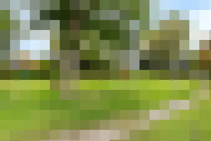 Tjalk 23 23 14 Lelystad thumbnail 25