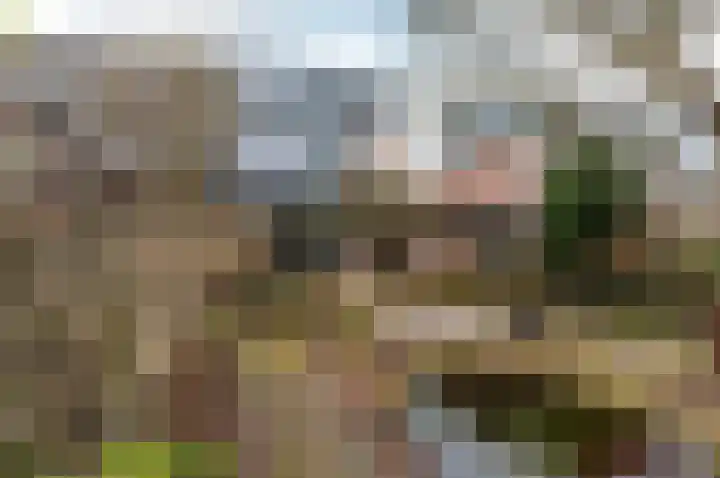 Tjalk 23 23 4 Lelystad thumbnail 31