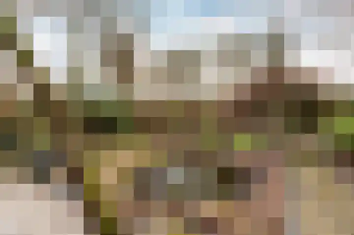 Tjalk 23 23 4 Lelystad thumbnail 35