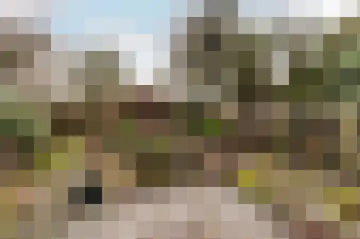 Tjalk 23 23 4 Lelystad thumbnail 36