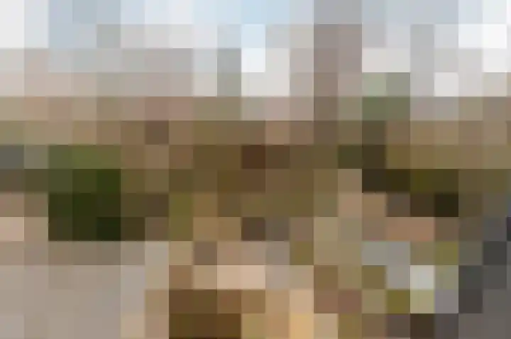 Tjalk 23 23 4 Lelystad thumbnail 38