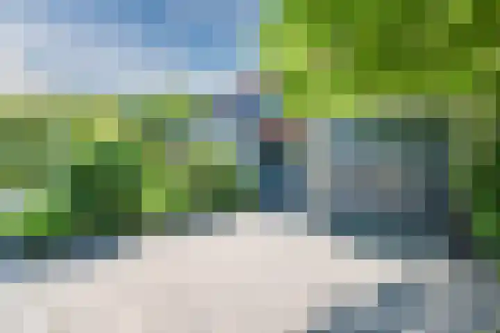 Tjalk 24 24 46 Lelystad thumbnail 6