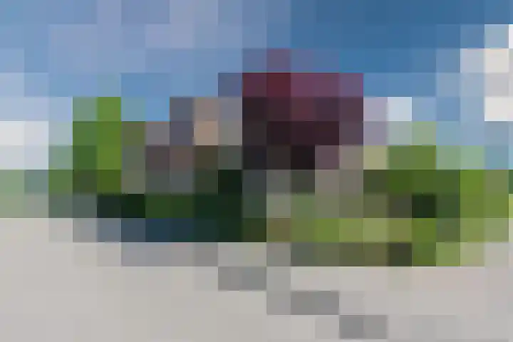 Tjalk 24 46 Lelystad thumbnail 34