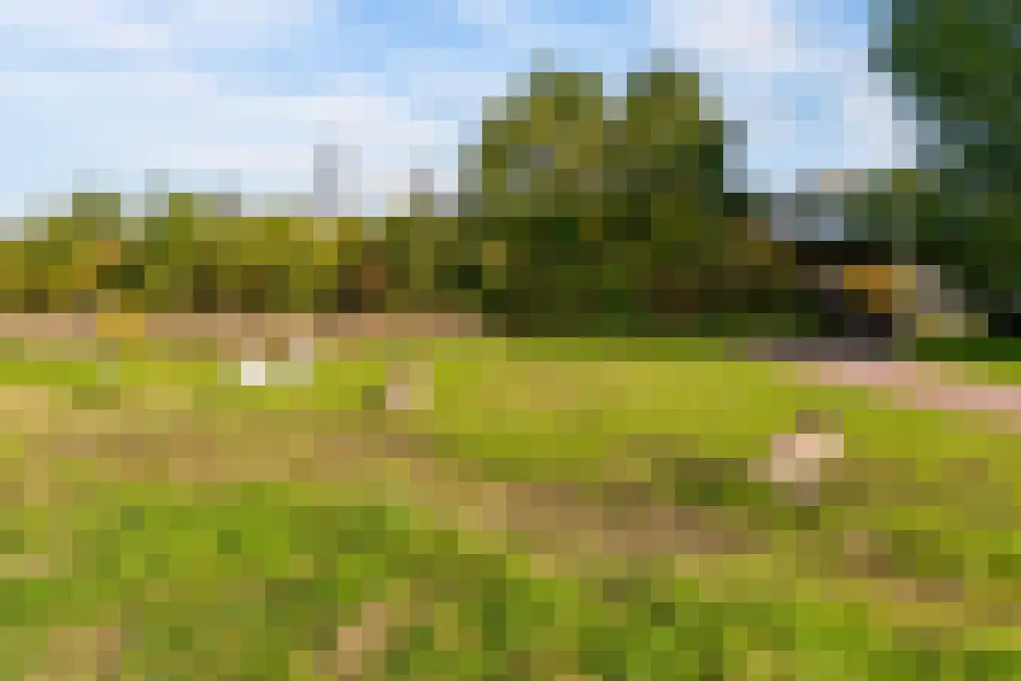Tjalk 24 88 Lelystad thumbnail 43