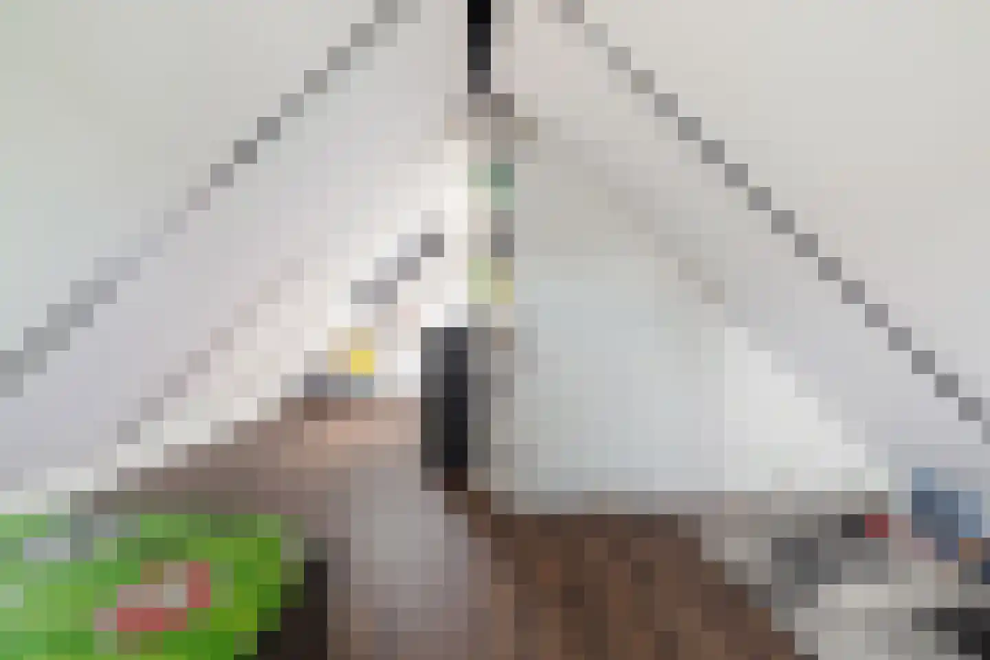 Tjalk 27 Nieuw-Amsterdam thumbnail 32