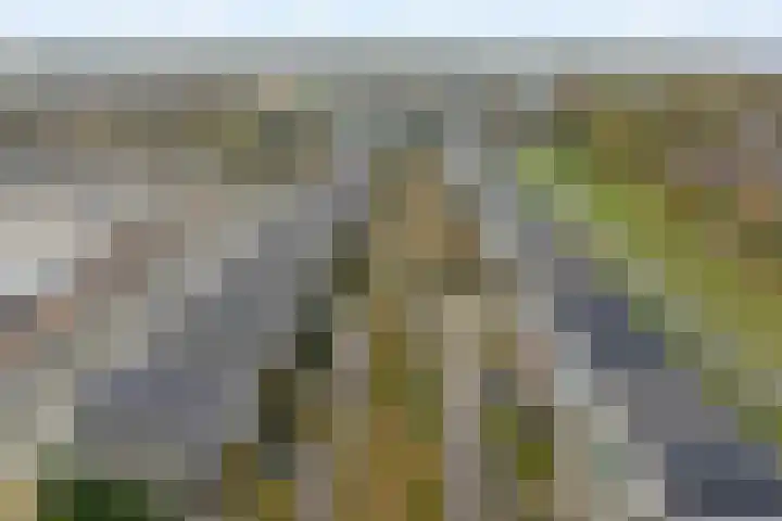 Tjalk 28 Capelle aan den IJssel thumbnail 36